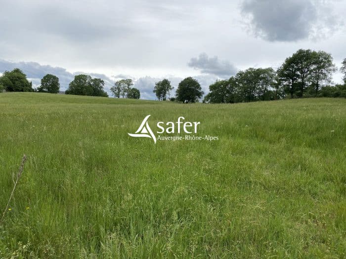 19 ha de Surface Agricole Utile groupée