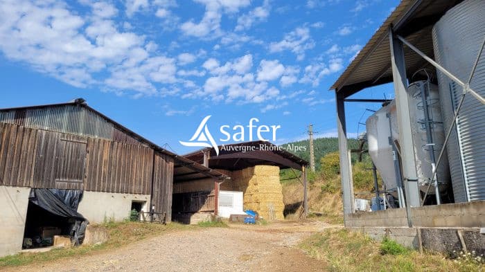 Exploitation d'élevage à transmettre dans le Beaujolais Vert