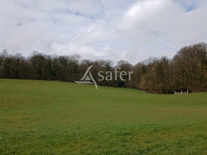 Haras d’élevage sur 30 hectares – Installations équestres complètes