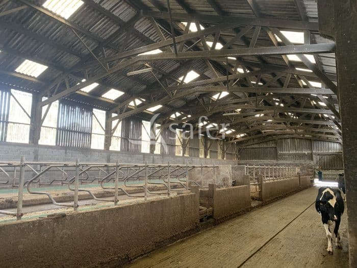 Exploitation laitière - 620 000 L - 79 ha