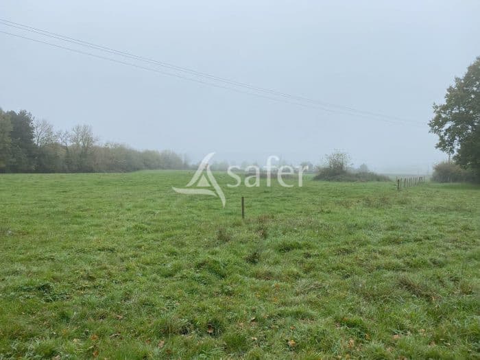 Exploitation d'élevage 61ha