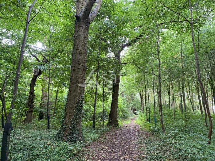 Forêts et prairies 37 hectares