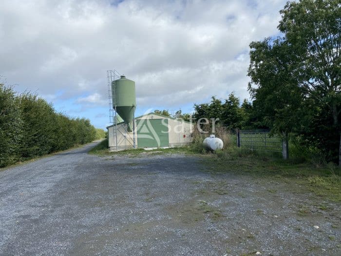 Exploitation avicole