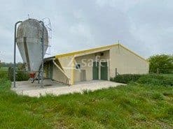 Exploitation Avicole