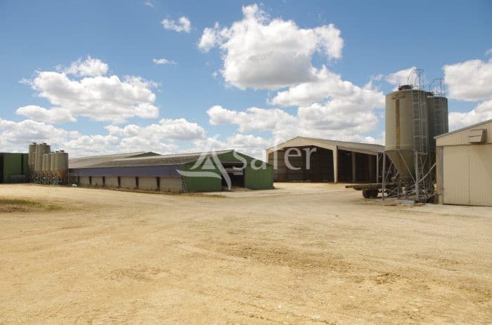 Exploitation CAPRINE sur 55 Ha (Vente totale de Parts)