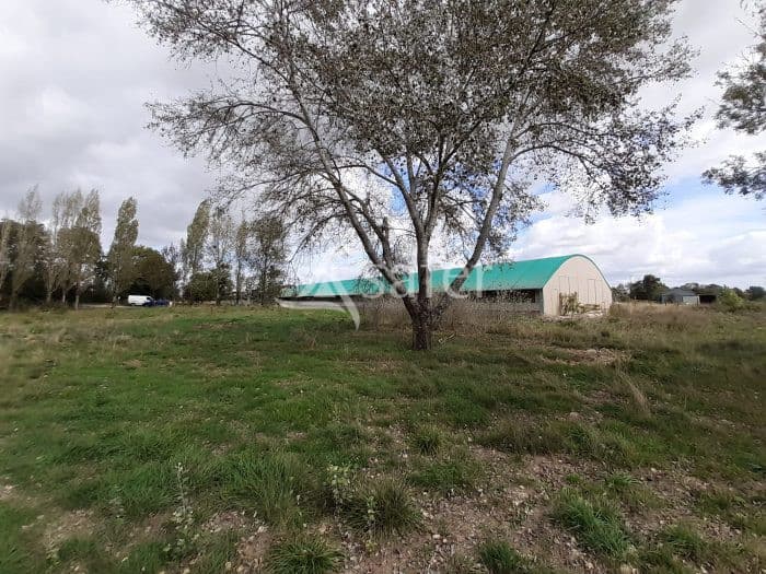 Bâtiments à vocation Avicole sur 3.5 ha (BIO)