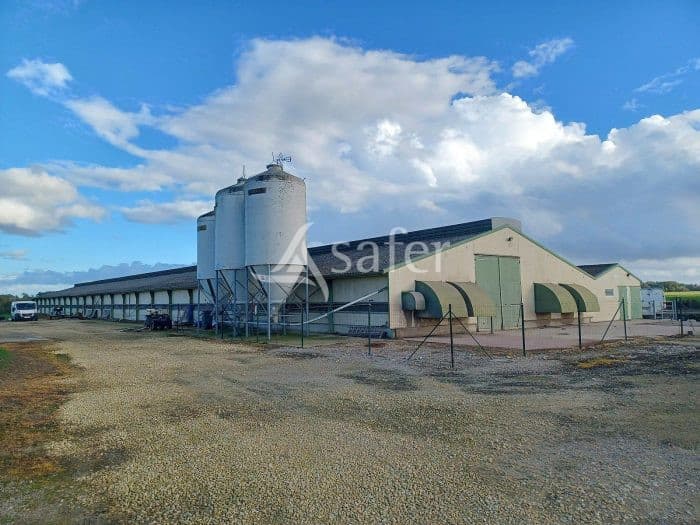 Bâtiments Avicoles à reprendre sur 1.16 ha