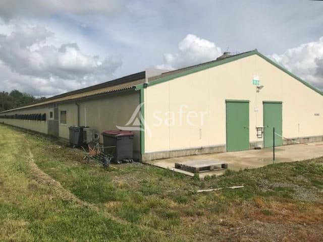 Bâtiments Avicoles sur 1.5 ha