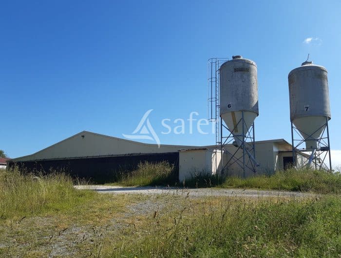 Exploitation d'élevage et gavage de canards sur 25ha