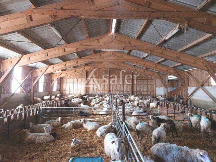 Propriété d'élevage en ovin lait avec transformation fromagère (habitation incluse)