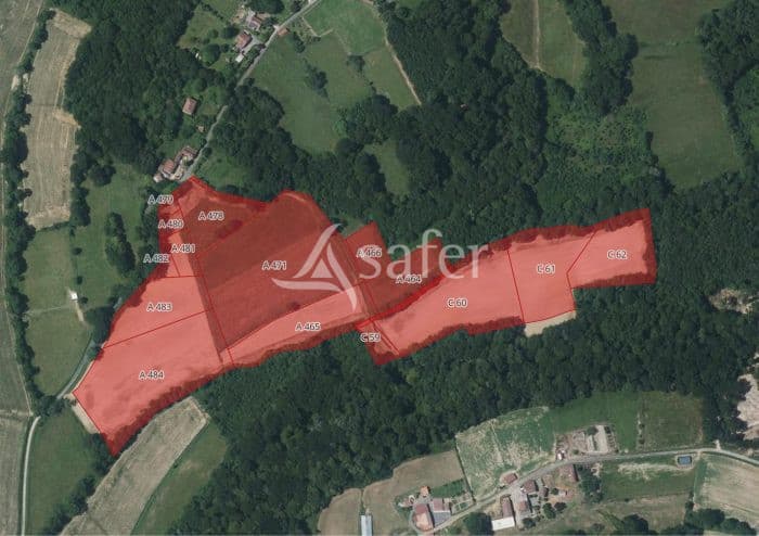 TERRES SUR LACRABE ET MORGANX