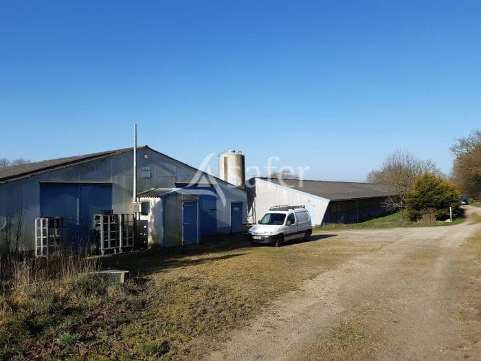 Bâtiments Avicoles sur 1 ha