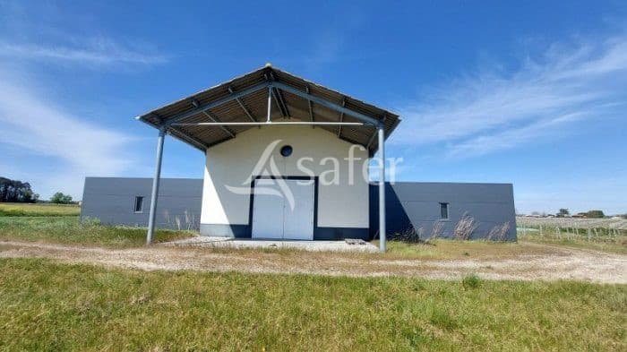 EXCEPTIONNEL: chai en parfait état HAUT MEDOC