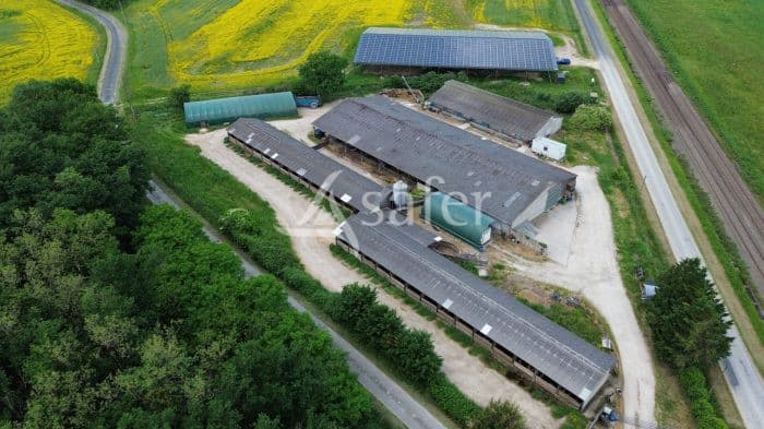 Exploitation porcine en vente directe