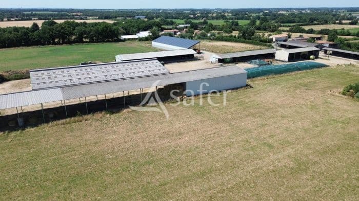 Exploitation sur 205 ha (Principalement en location)