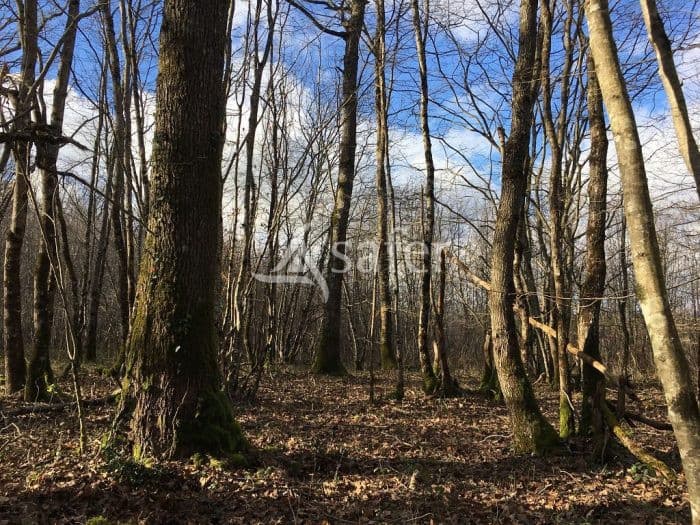 Parcelles forestières et agricoles sur 5 communes pour une surface totale de 26 ha