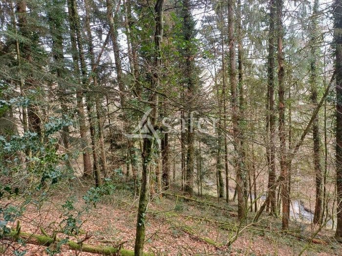 Parcelles forestières sur environ 72 a