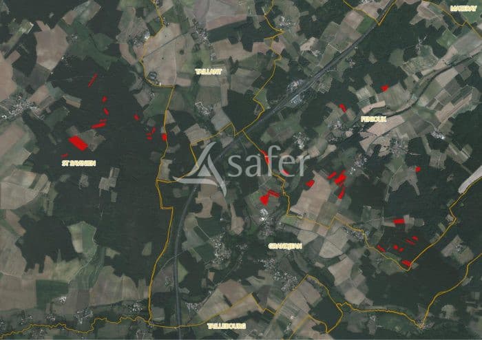 Propriété forestière