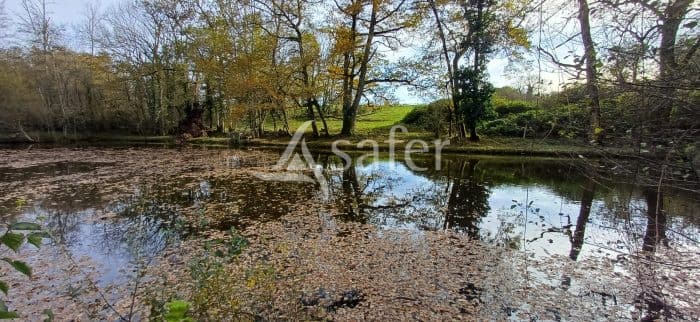 Etang, pré et bois sur 2ha24 en Périgord vert