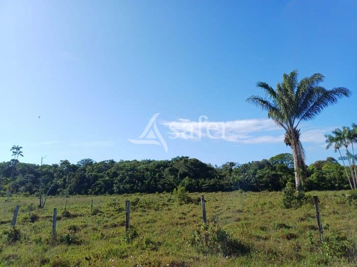 Paturage pour exploitation agricole en élevage sur 10ha